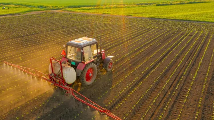 Agriculture Industry