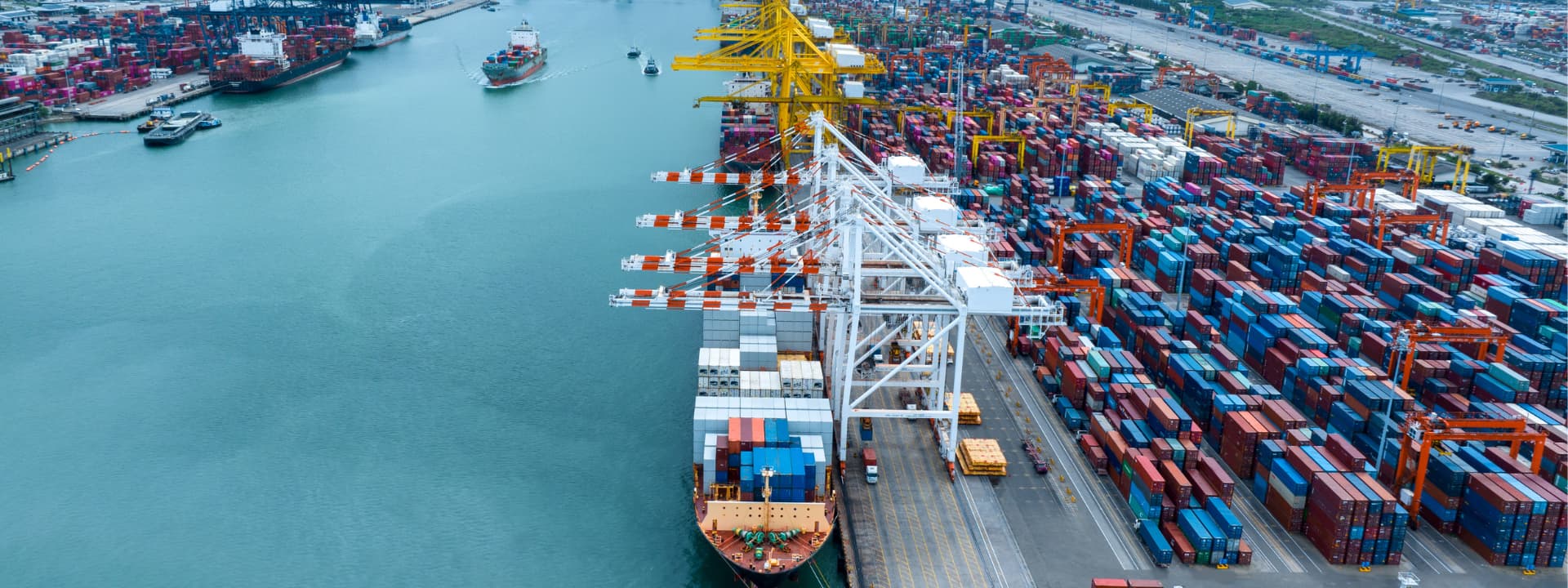 FCL or LCL? Choosing How to Ship Your Cargo to Tanzania and Kenya